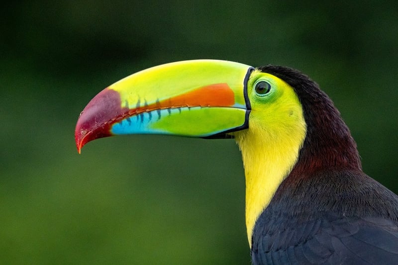 Costa Rica