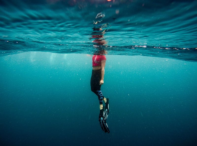 Diving Adventure