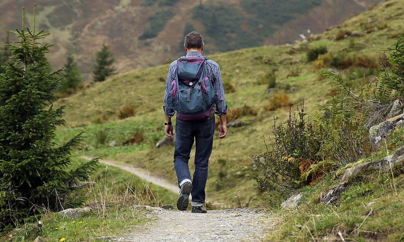 Hiking boots in nature